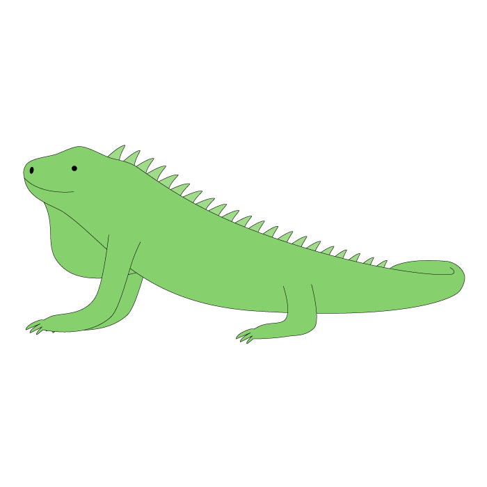 Iguana