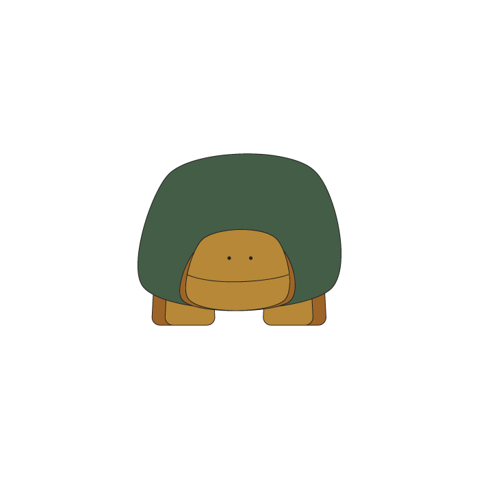 Tortoise