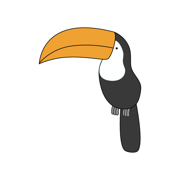 Toucan